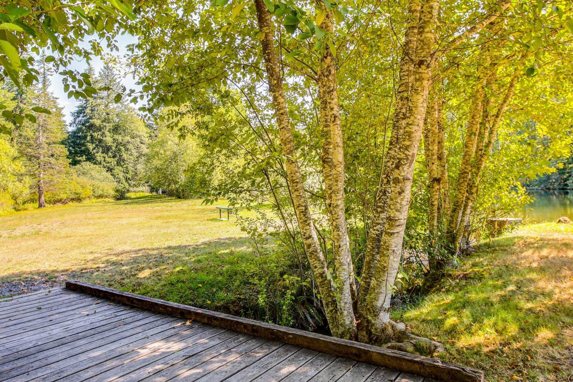 Quaint Ashford Studio Stay 5 Mi To Mt Rainier! Esterno foto